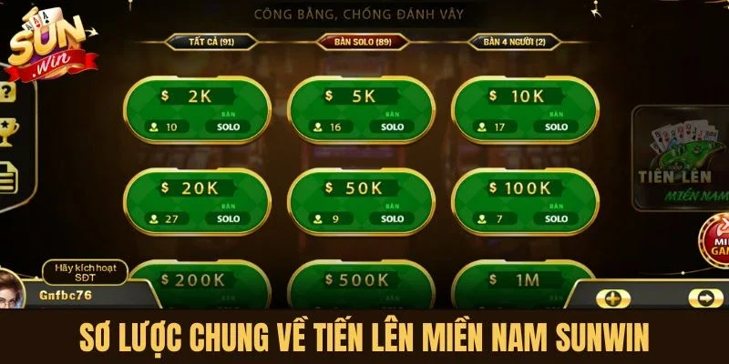 Sơ lược chung về Tiến Lên Miền Nam Sunwin